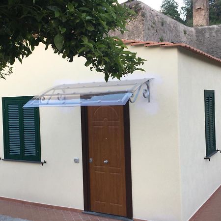 La Finestra Sul Giardino Lejlighed Ischia Eksteriør billede