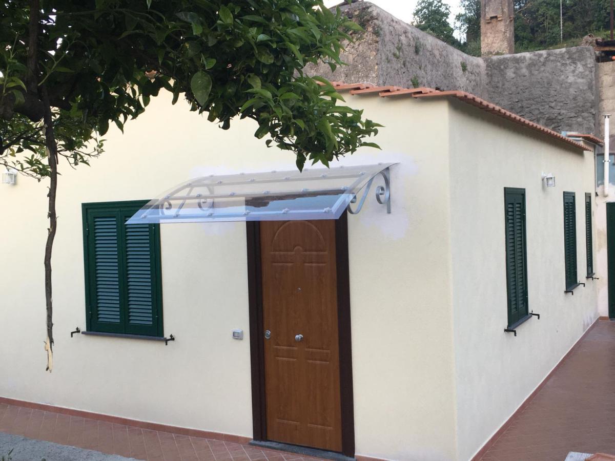 La Finestra Sul Giardino Lejlighed Ischia Eksteriør billede